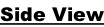 Side View